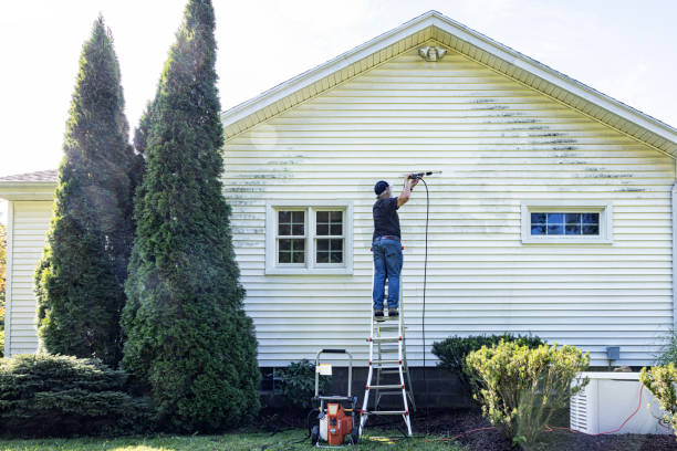 Best Fence Cleaning  in Beach Haven, NJ
